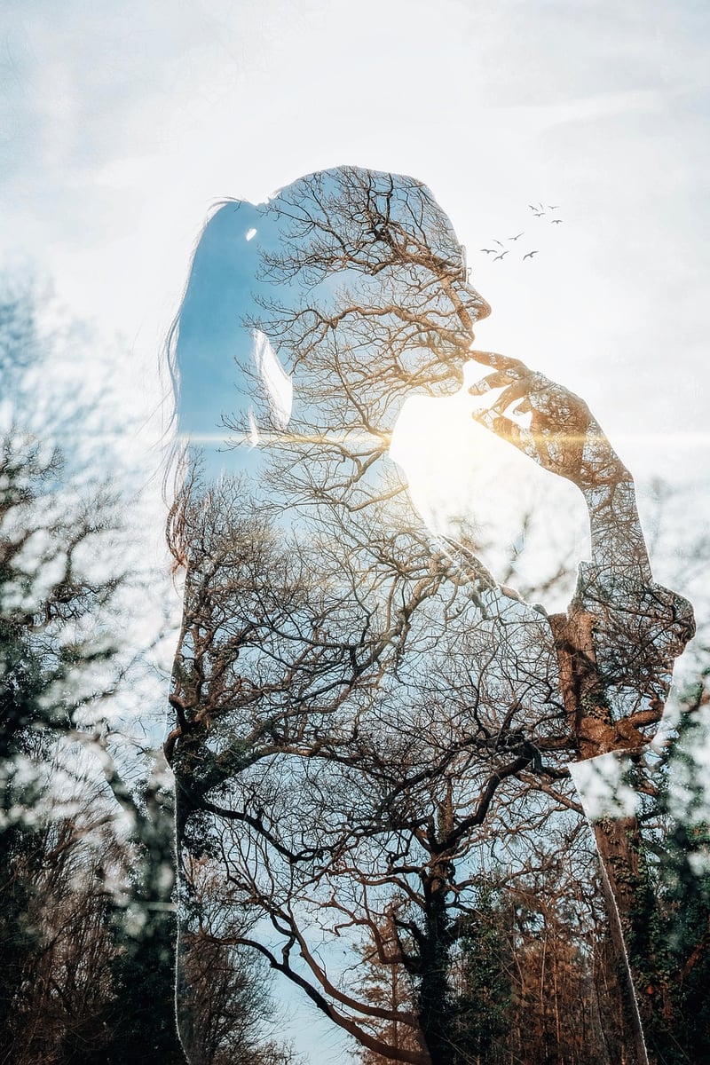 Maximizing sunlight exposure
